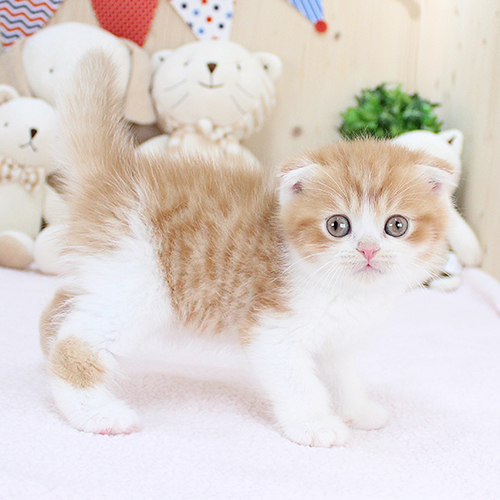 상품 섬네일